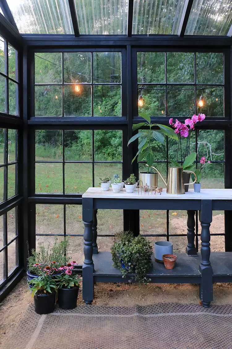 Garden and outdoor