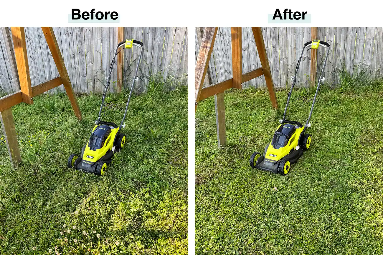 Riding mower on a freshly cut lawn